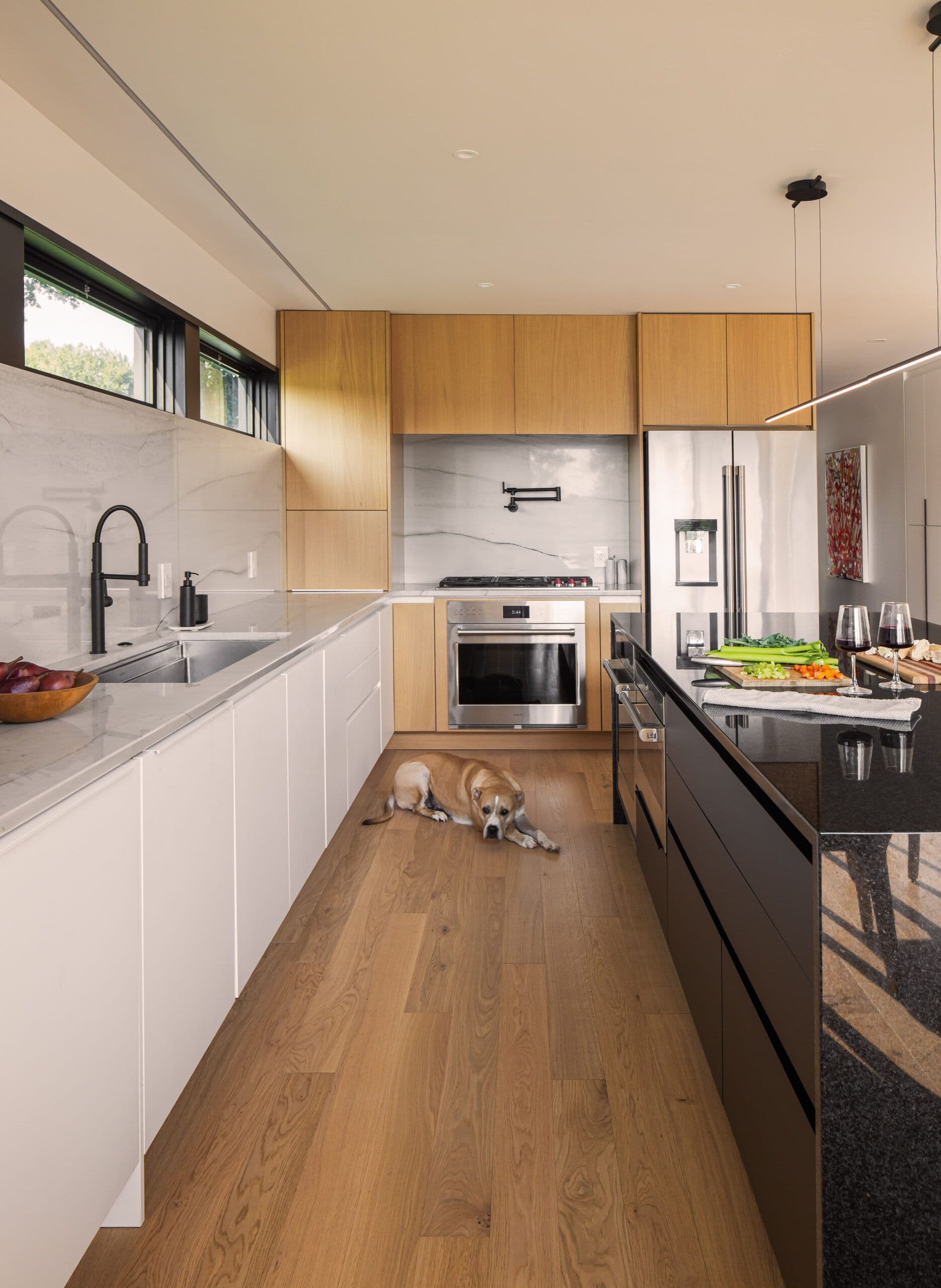 home owner's dog enjoying the new kitchen